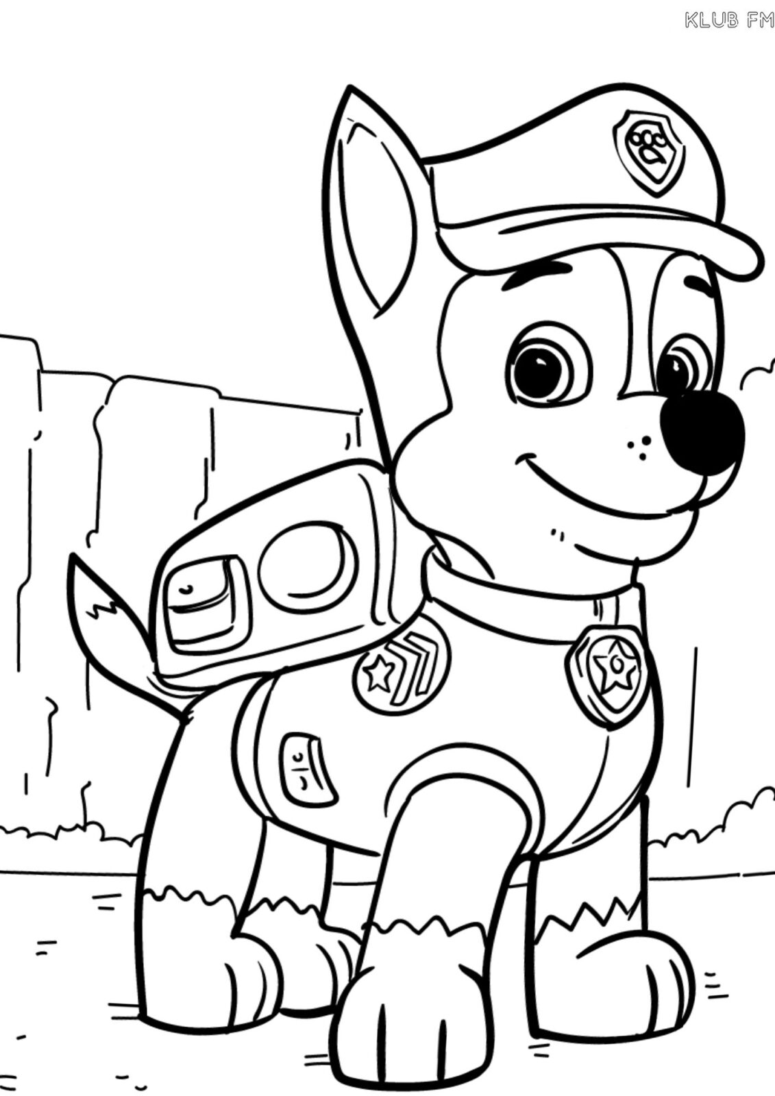 Psi Patrol kolorowanka