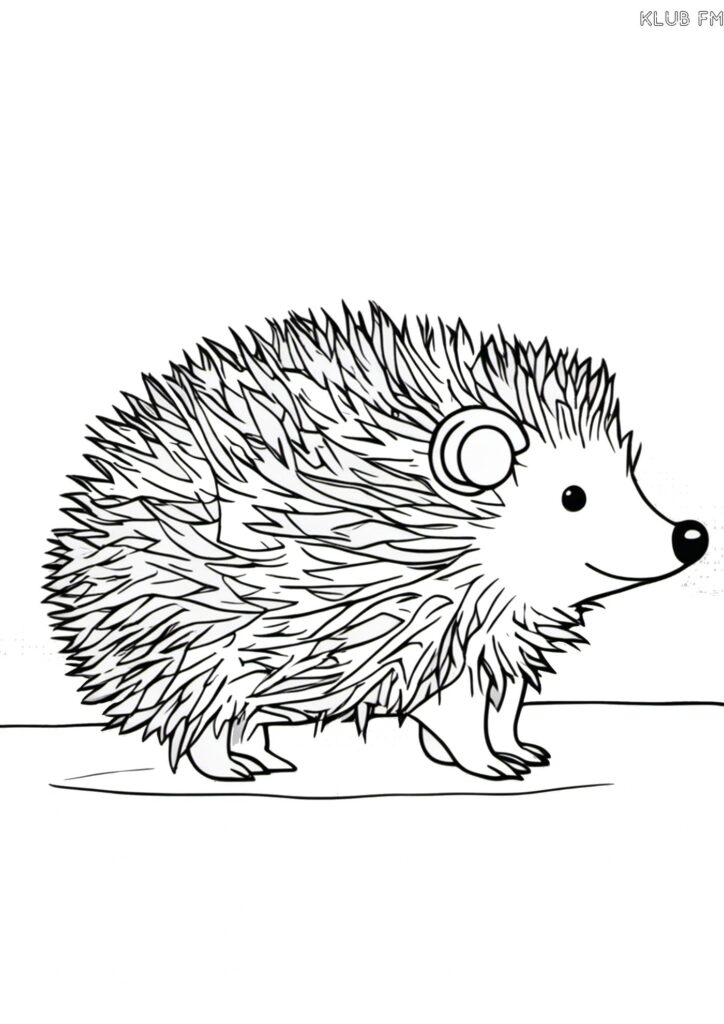 Igel-Malbuch für Kinder