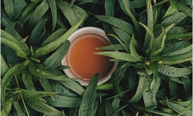 Filiżanka w liściach herbaty, zdj. Aniketh Kanukurthi / unsplash.com