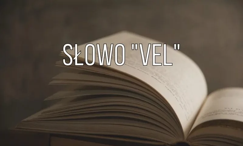 Vel, fot. katjabakurova.gmail.com, Vista Create