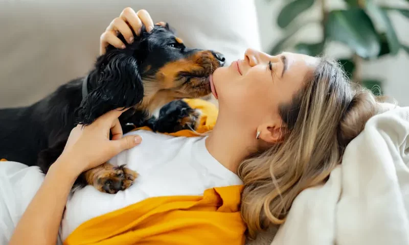 Czym zajmuje się petsitter i jak wybrać najlepszego opiekuna dla swojego zwierzaka
