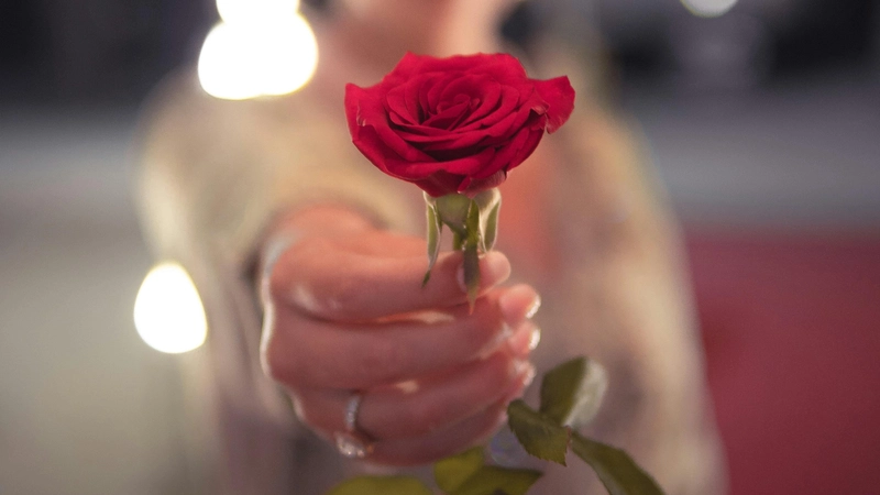 Orfeusz i Eurydyka - miłość kompletna. Zdjęcie: Hassan  OUAJBIR / pexels.com.